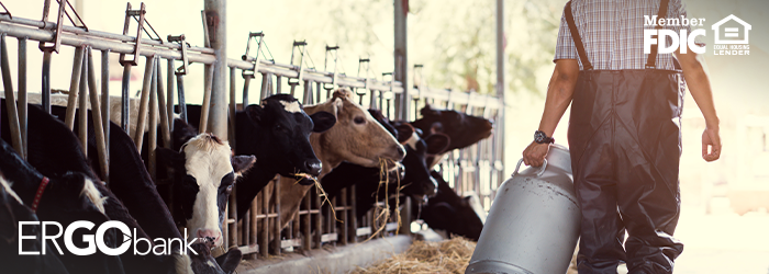 What Dairy Farming Can Teach Us About Smart Money Habits
