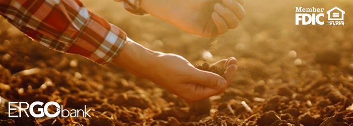 Farmer's hand transferring soil from one hand to another