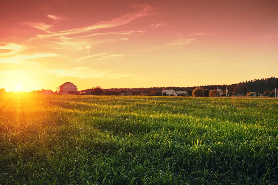 rural land